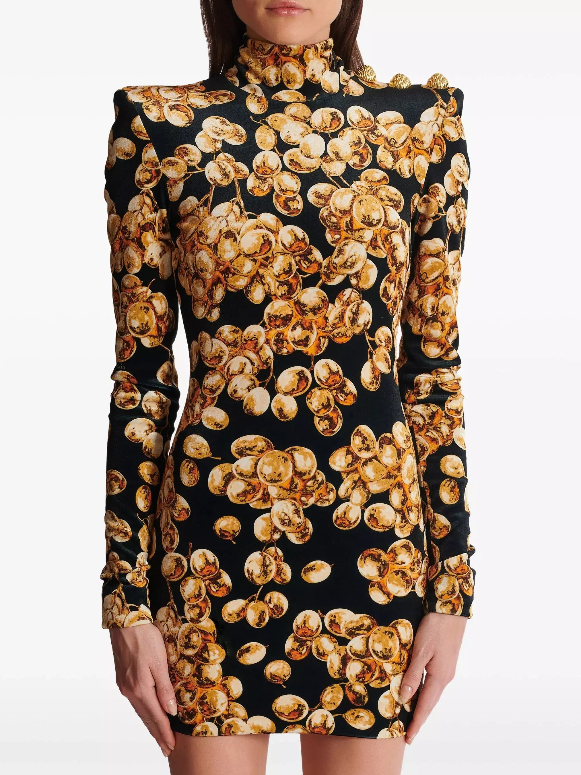 Black with Gold-Tone Grape Print Velvet Dress